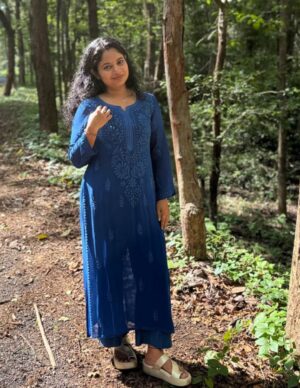 CHIKANKARI Viscose Georgette 3D WORK BUDGET